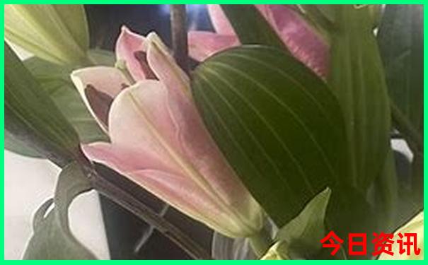 浙江长兴旅游景点有哪些